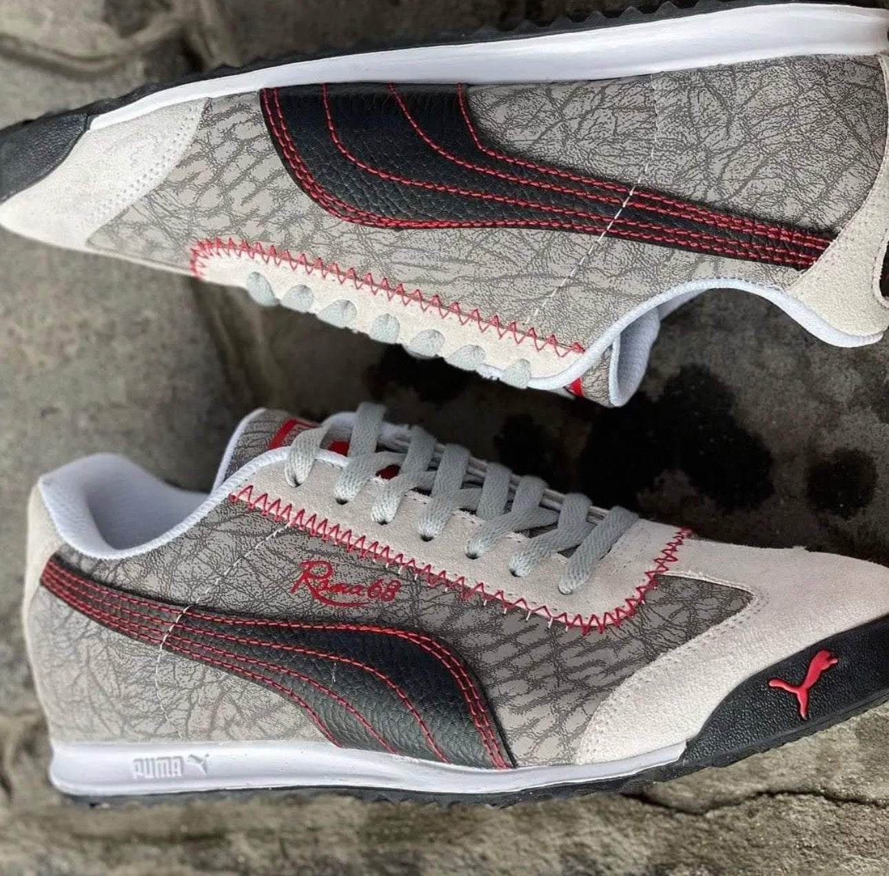 Puma