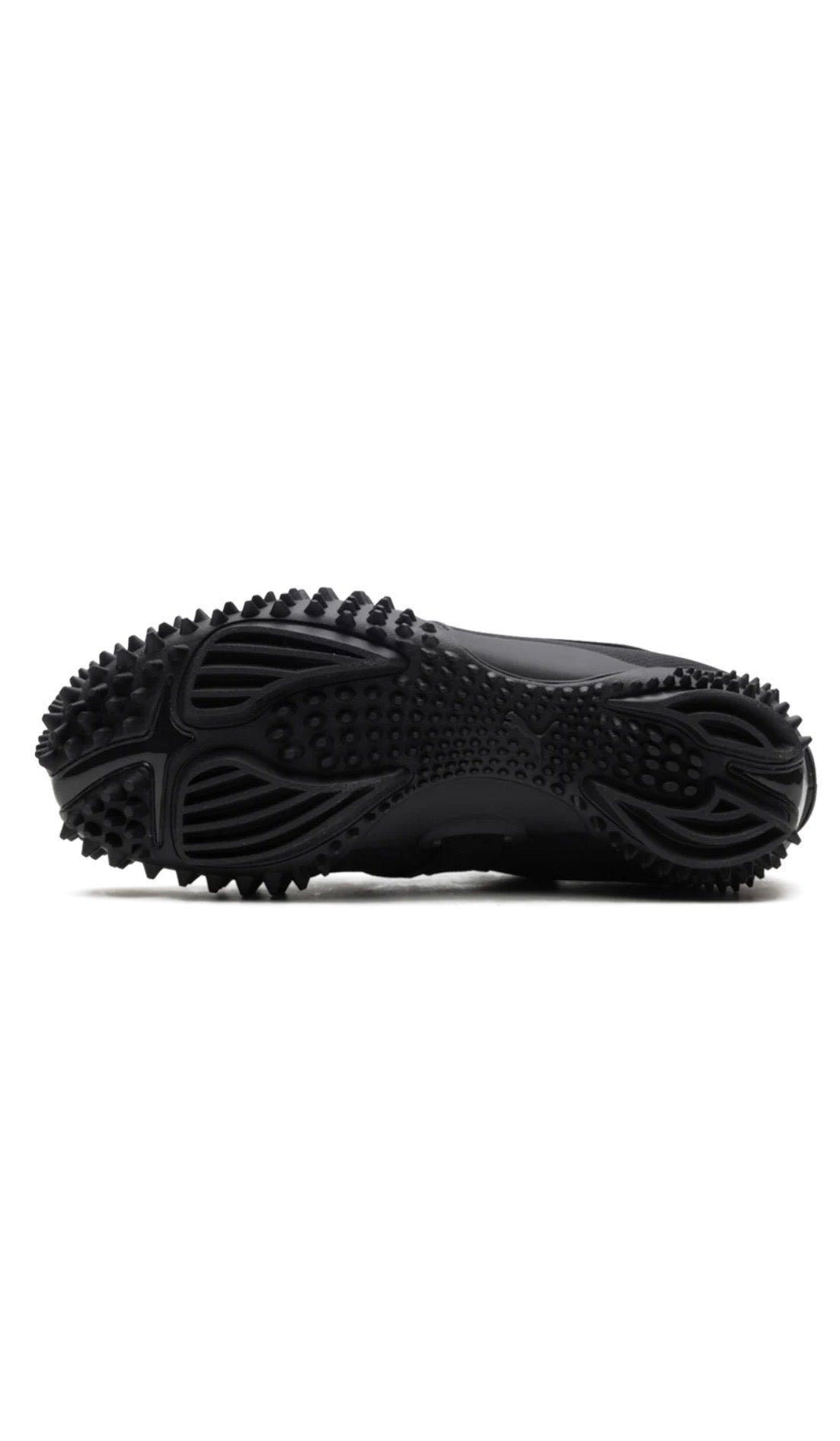Puma mostro