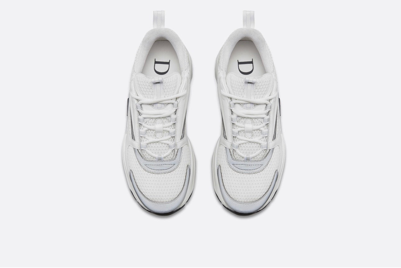Dior B22