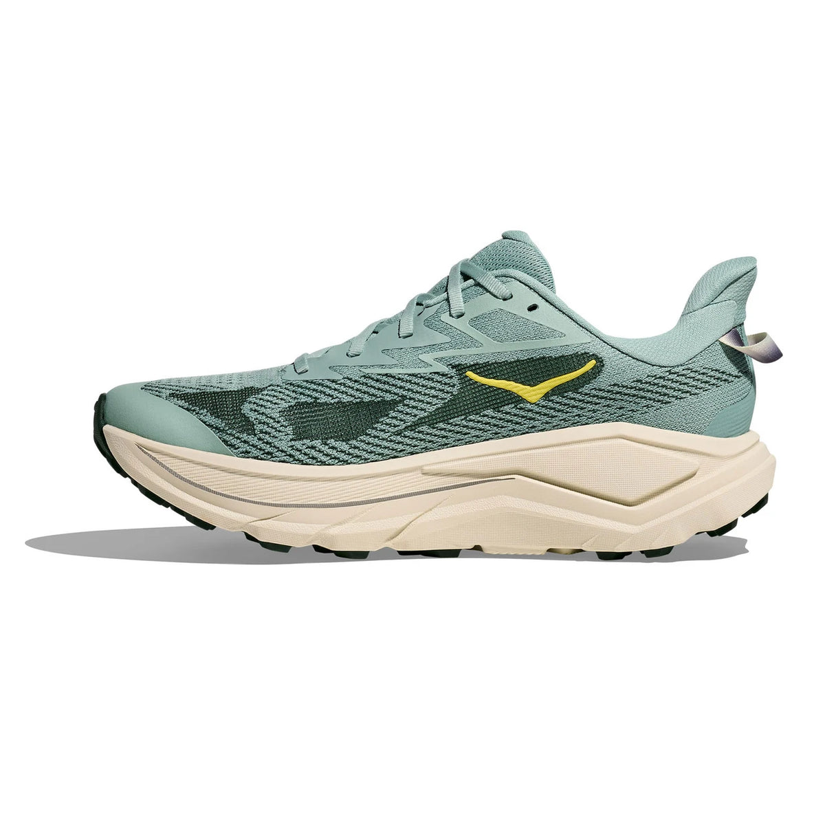 Hoka challenger 8