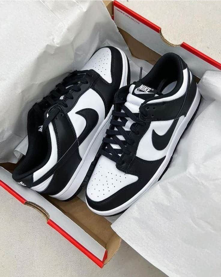 Nike Sb